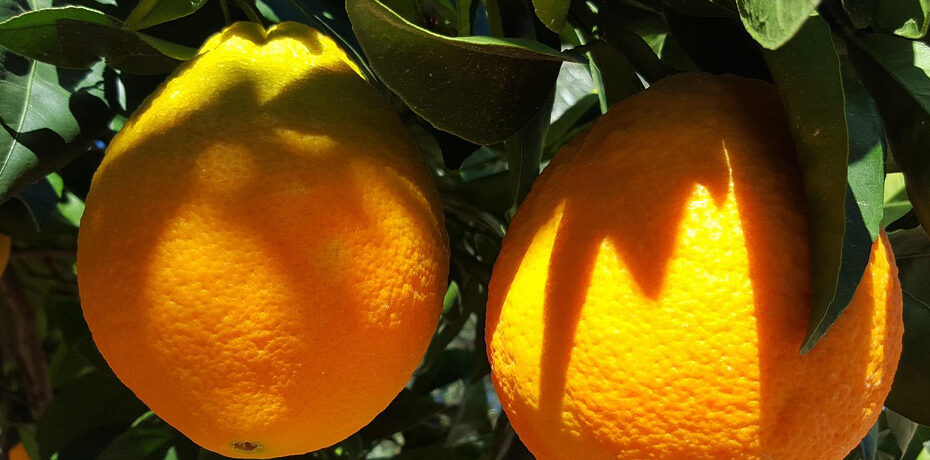 restaurant in Valencia