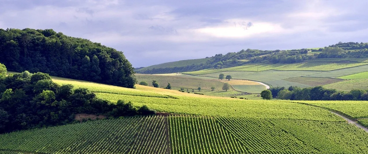 trekpleisters in Larochette