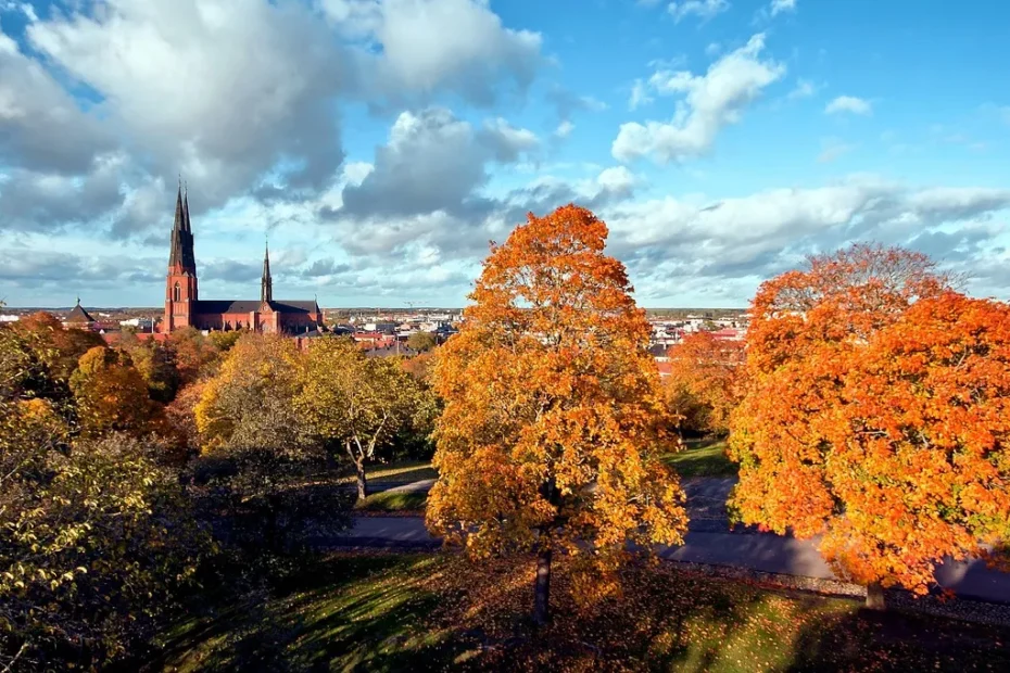 fietstochten in Uppsala